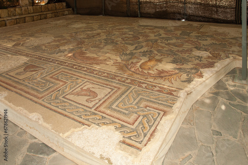 Jordan. Mount Nebo. Ancient mosaics on floor, created in 6th century. Close-up. Fragment of mosaic with plants, birds and animals. Madaba, Jordan, December 3, 2009