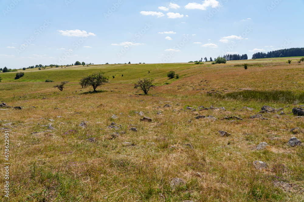 Landschaft im NSG „Hohe Rhön Landschaft im NSG „Hohe Rhön