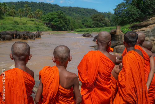 young novice monks watching elephants bathing in the river. photo