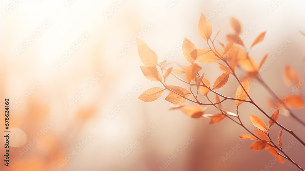 Beautiful blurred gentle natural light autumn background. Beautiful blurred gentle natural light autumn background.