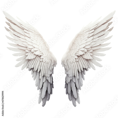 Realistic angel wings isolated on transparent background, png
