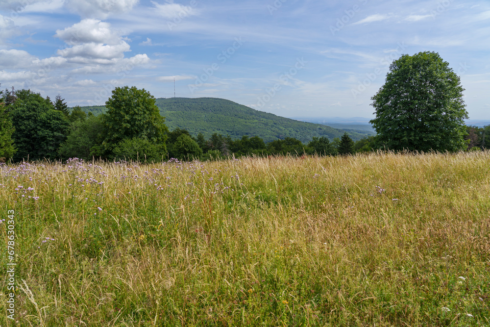 Landschaft der Schwarzenbergwiesen im NSG Schwarze Berge im Biosphärenreservat Rhön bei der Kissinger Hütte, Wildflecken, Unterfranken, Franken, Bayern, Deutschland Landschaft der Schwarzenbergwiesen im NSG Schwarze Berge im Biosphärenreservat Rhön bei der Kissinger Hütte, Wildflecken, Unterfranken, Franken, Bayern, Deutschland
