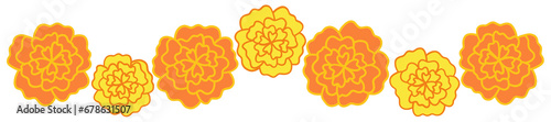 Marigold Flower Border