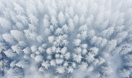 A Breathtaking Winter Wonderland of Snowy Trees and Serene Nature