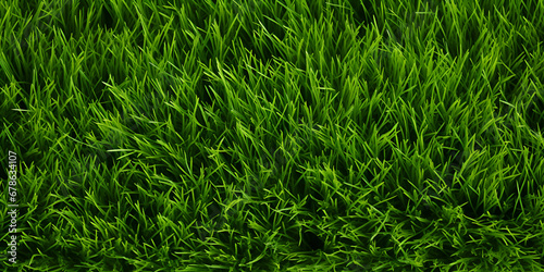 Close Up Of Green Grass, Collections Of Grass, Green Grasses, Green Grass Carpet, juicy green grass close-up in the sun. generative Ai 