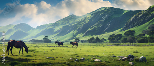Thoroughbred Horses grazing with green beautiful