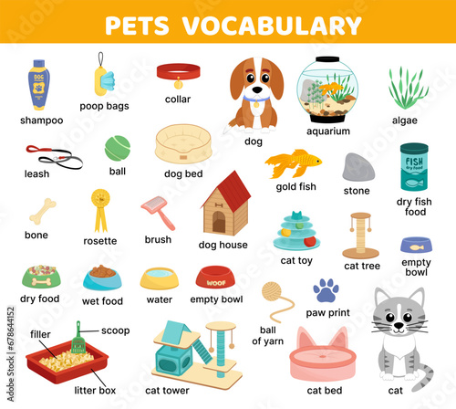 Pet English words. Vocabulary. Pet word mat. Flat, cartoon, vector