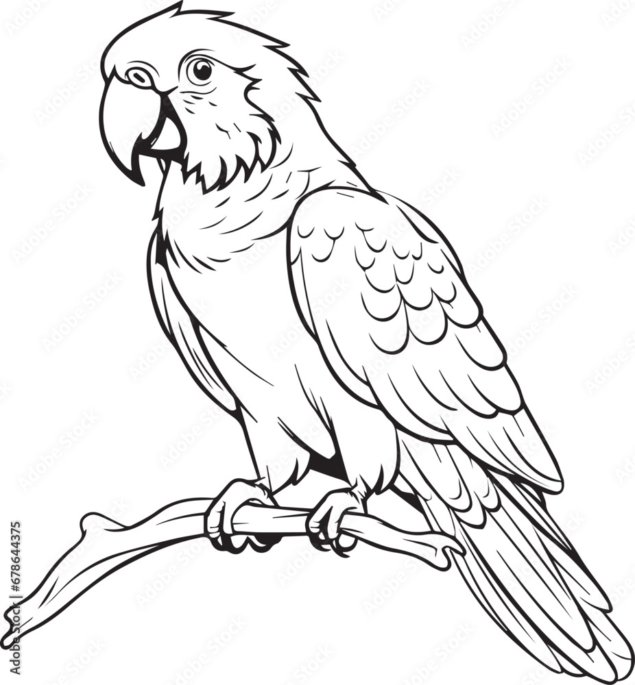Vector drawing black and white illustration of a bird