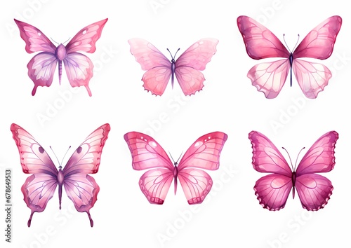 watercolor butterfly © wpw