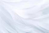 Beautiful Fluffy White Feather Abstract Feather Background