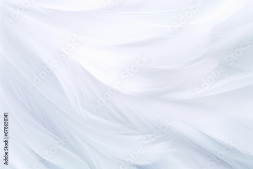 Beautiful Fluffy White Feather Abstract Feather Background © Anastasiia