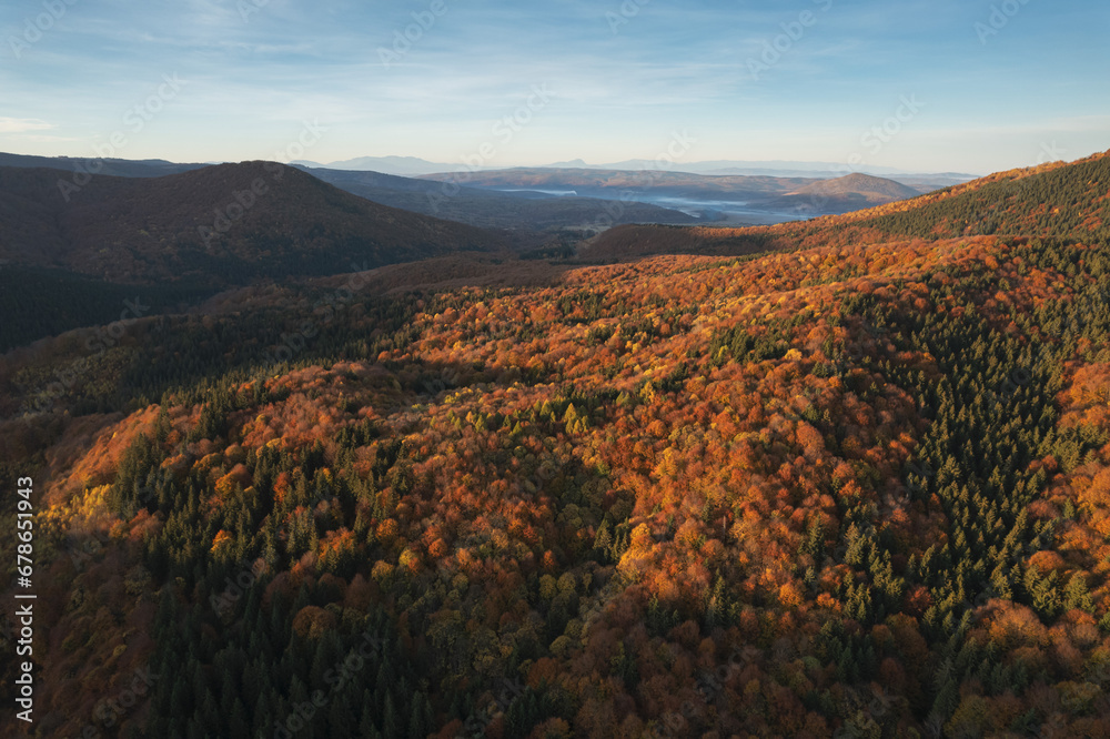 Aerial landscape above the colorful forest