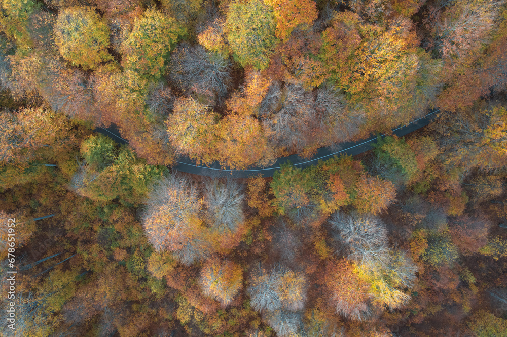 Aerial view of mountain road in autumn Aerial view of mountain road in autumn
