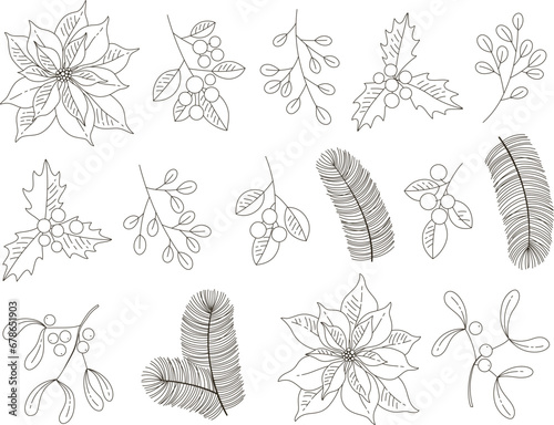 Vector set of holidays graphic plants. Merry Christmas floral design for invitation and greeting card, prints and posters. Hand drawn winter elements