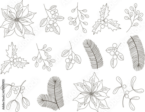Vector set of holidays graphic plants. Merry Christmas floral design for invitation and greeting card, prints and posters.  Hand drawn winter elements
