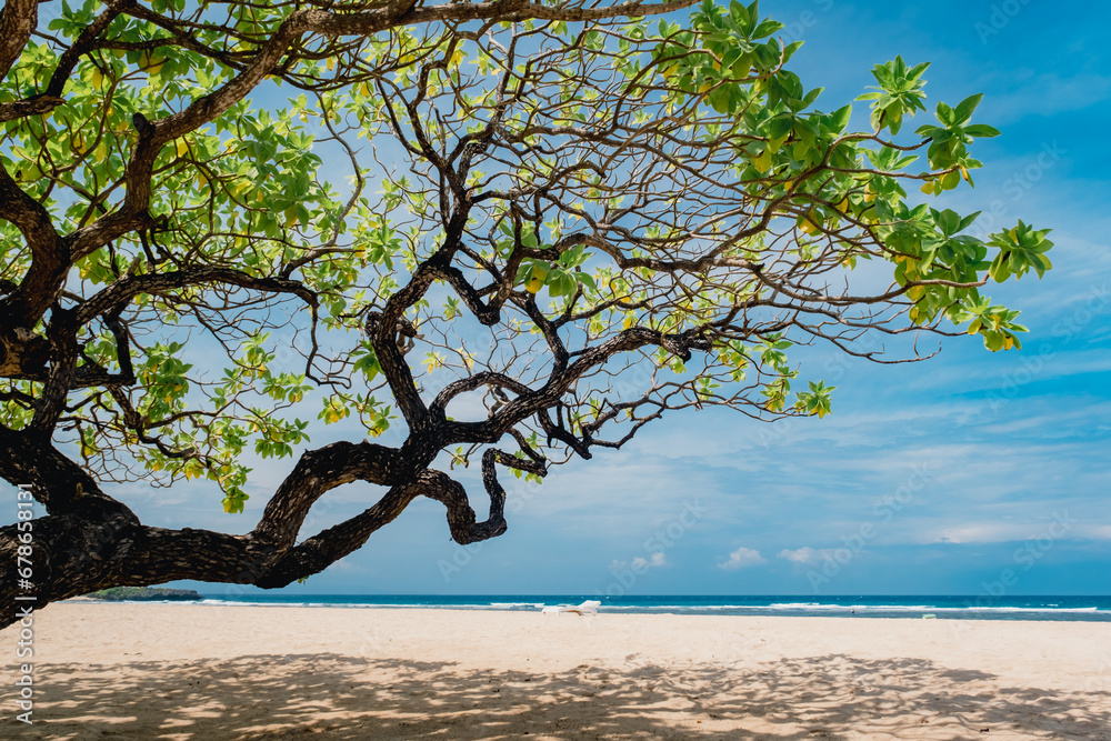 Landscape with a beautiful tropical beach surrounded by tree leaves. White sand, azure ocean and blue sky. Nusa Dua, Bali, Indonesia