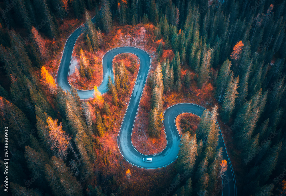 Naklejka premium Aerial view of snake road in colorful autumn forest. Dolomites, Italy. Top view of winding road in woods. Beautiful landscape with highway, green pine trees, red leaves in fall. Nature. Transport