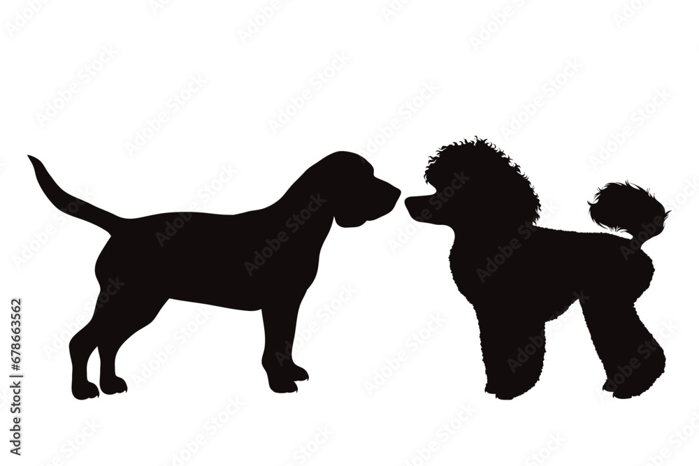 Vector silhouette of poodle and beagle on white background. Symbol of pet and dog.