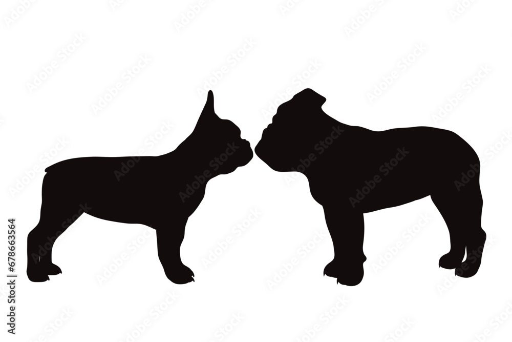 Vector silhouette of french bulldog and english bulldog on white background. Symbol of pet and dog.