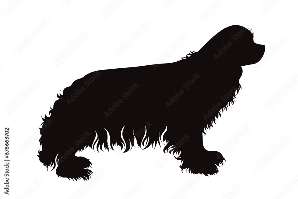 Vector silhouette of Cavalier King Charles spaniel on white background. Symbol of pet and dog.