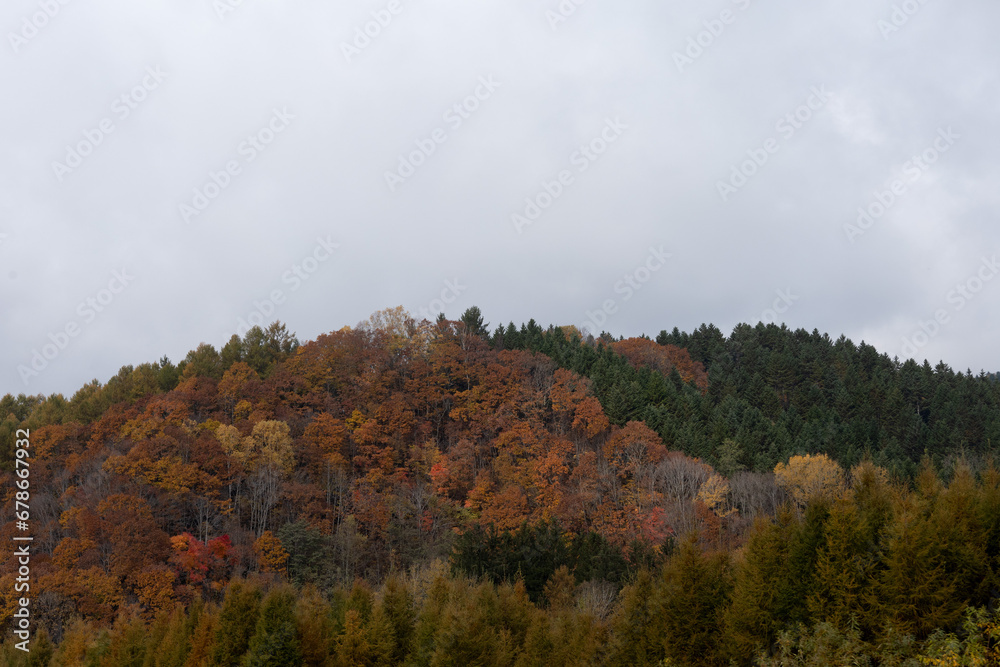 autumn in the mountains