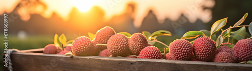 Lychees harvested in a wooden box with orchard and sunshine in the background. Natural organic fruit abundance. Agriculture, healthy and natural food concept. Horizontal composition, banner.