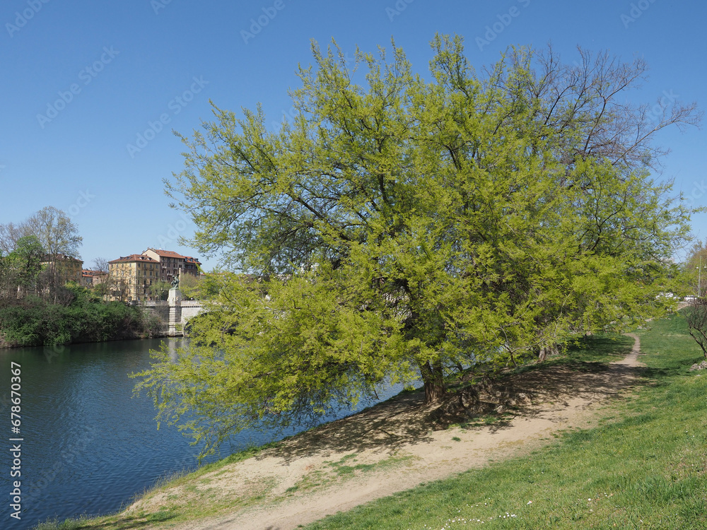 River Po in Turin