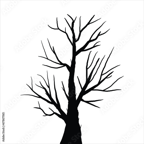 Fototapeta Naklejka Na Ścianę i Meble -  Naked tree silhouettes Hand drawn. Black Branch Tree. Hand drawn tree branches. old dry branch fallen from tree isolated on white background.