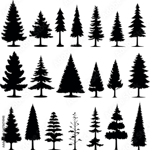 Pine trees silhouettes. Evergreen coniferous forest silhouette, nature spruce tree park view vector illustration.  woodland trees set Isolated white background photo