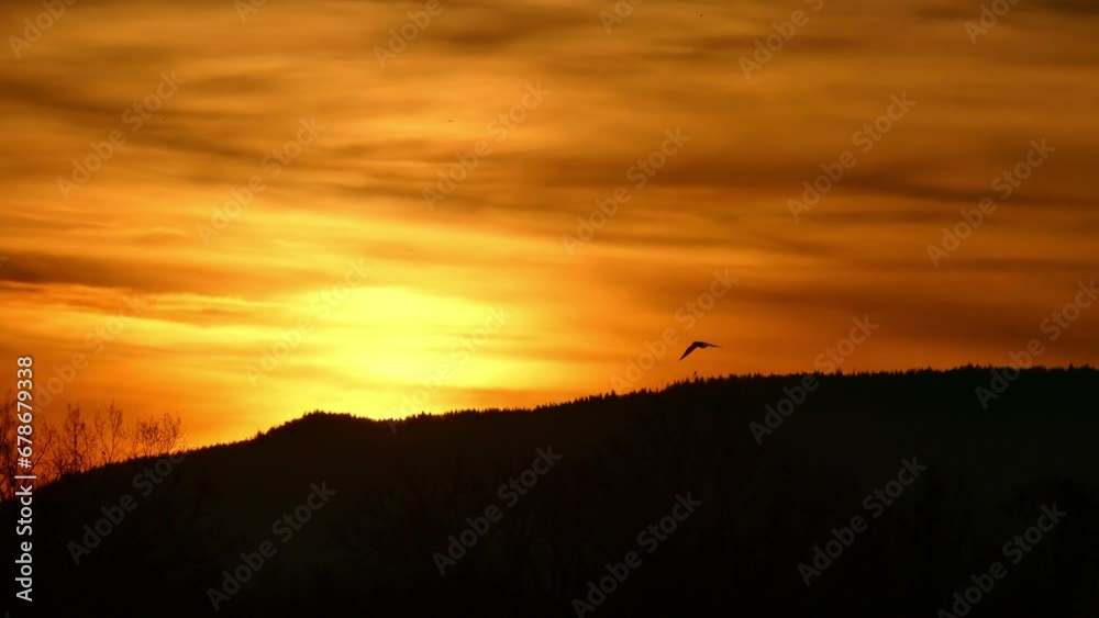 Sky with orange clouds, yellow sunrise, dark horizon of forests in mountains and bird in flight during rising sun in autumn morning - slow motion. Sky with orange clouds, yellow sunrise, dark horizon of forests in mountains and bird in flight during rising sun in autumn morning - slow motion.