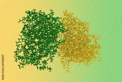 Kaposi's sarcoma-associated herpesvirus protease in complex with allosteric inhibitor. Molecular model. Rendering with differently colored protein chains based on protein data bank. 3d illustration photo
