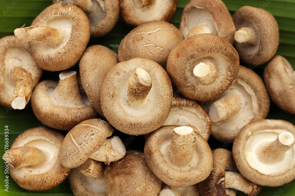 Fresh shiitake mushrooms on banana leaf Fresh shiitake mushrooms on banana leaf