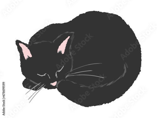 丸まって眠る黒猫