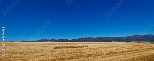 Rolls of wheat in an open field with blue skies near Porterville in the Western Cape  South Africa.