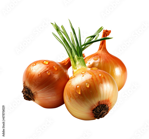 Fresh onion isolated on white background. Clipping path. 