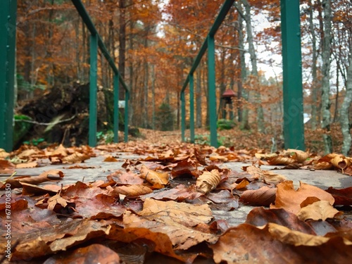 brown autumn leaves fallen on a metal bridge in autumn
