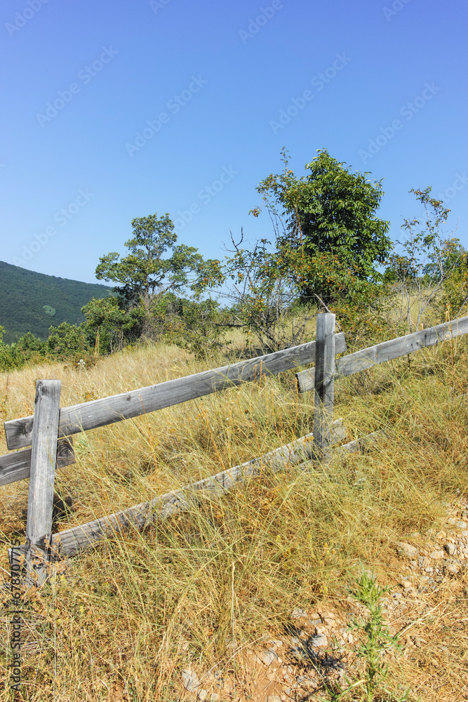 Fototapeta premium Summer Landscape of Rudina mountain, Bulgaria