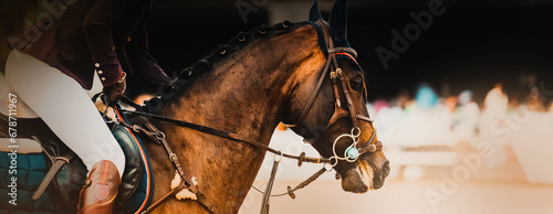 Portrait of a beautiful bay horse with a rider in the saddle, galloping at a dressage competition. Equestrian sports and horse riding. ©  Valeri Vatel