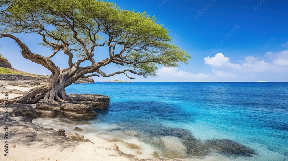 Tree on the beach with blue sky background. Seascape Tree on the beach with blue sky background. Seascape