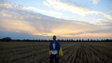 Ukrainian man walking on barley meadow with a blue-yellow banner on shoulders at sunset. Young guy going on wheat field with a flag of Ukraine as symbol of victory against russian aggresion. Slow mo