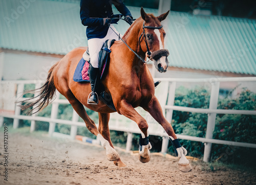 A fast sorrel horse with a rider in the saddle gallops at dressage competitions. Equestrian sports, activity and horse riding.