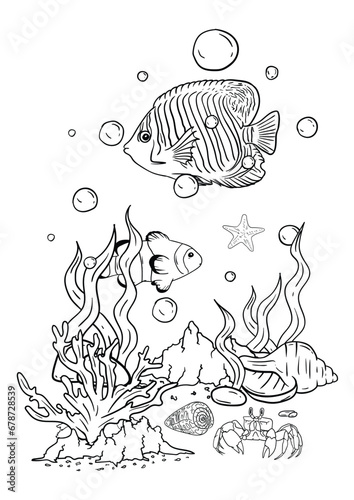  Vector illustration of a coloring book of the underwater world with beautiful fish, shells, algae in the sea