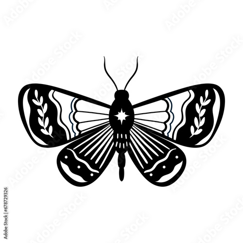 Moth
