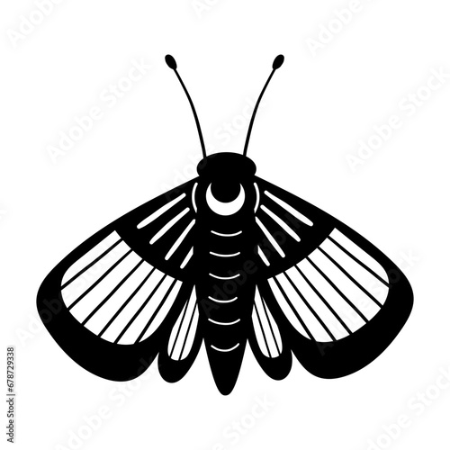 Moth