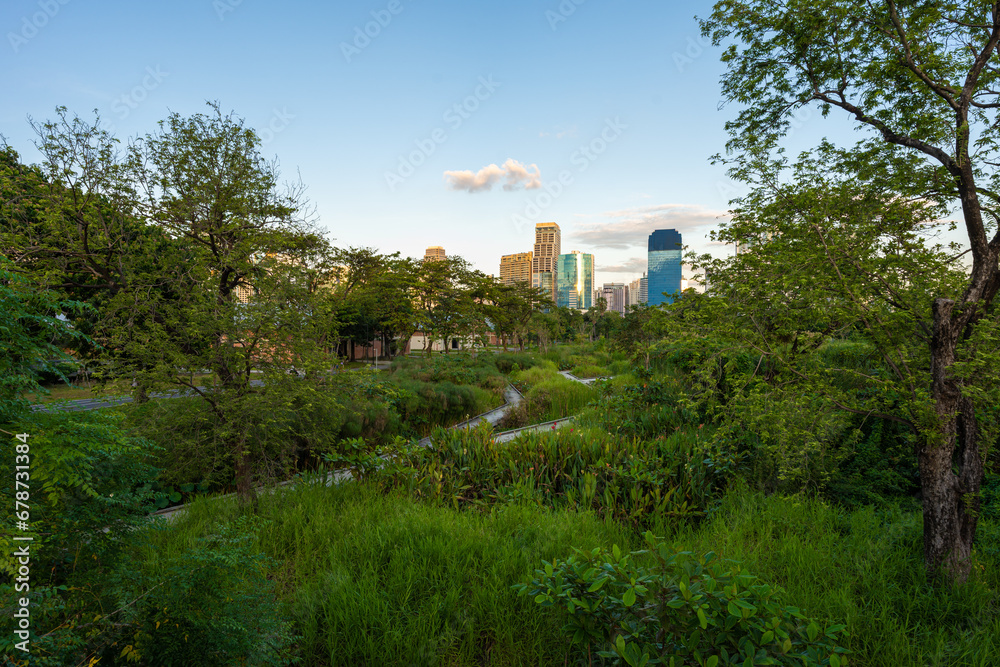 Benchakitti swamp river tropical forest park with modern office building