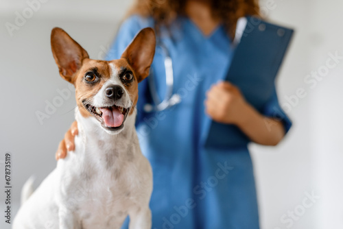 Happy dog with vet in background © Prostock-studio