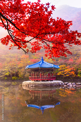 Amazing frame of red ancient pavilion and colorful maple trees in small pond, Autumn scene of Naejangsan national park in South Korea. photo
