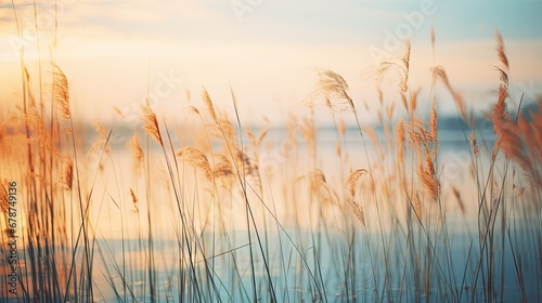  the sun is setting over a body of water with tall grass in the foreground and a body of water in the distance with a body of water in the background.
