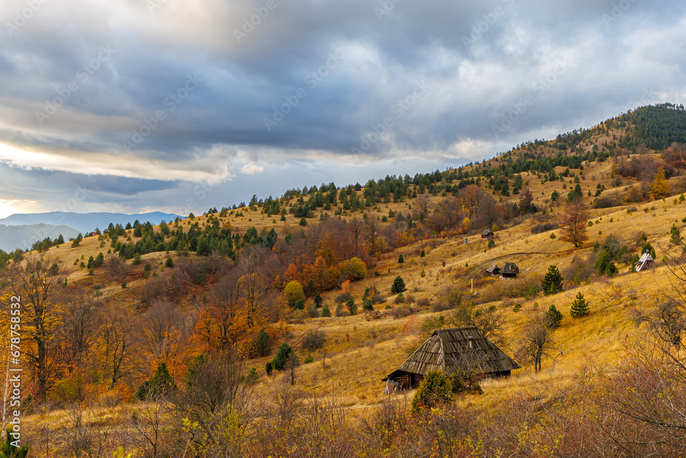 trees on autumn in Serbian mountains Tara with traditional wooden house 