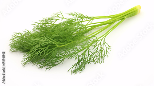 Isolated dill, with full focus, on a blank canvas.